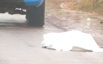 Body of beheaded Brazilian found on Lethem trail