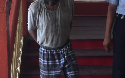 Homeless man allegedly destroys woman flower plants, lashes her son