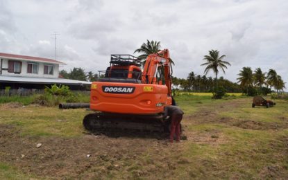 Bath Settlement: a bustling location with immense agricultural opportunities