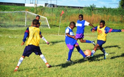 2019 Courts Peewee football final plays today