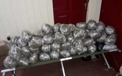 Police find cannabis in stolen music set