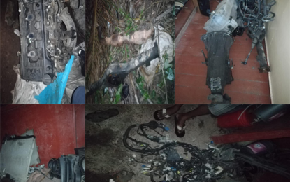 Cops dismantle several carjacking gangs