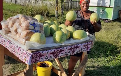 Weldaad Village: a small community where laughter abounds