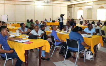 Timber sales up as industry records US$18M in first half