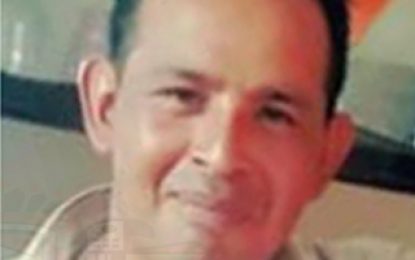 Timehri miner crushed to death by tree