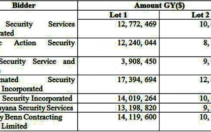 Pontoons procured for Georgetown, Vreed-en-Hoop stellings