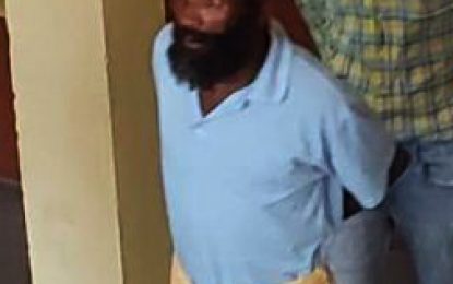 Man caught jumping fence with stolen loot over his shoulder, remanded