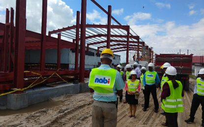 DDL plugs $4B in plant to produce pasteurized milk, line of fruit juices