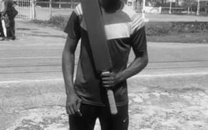 Vantull ton leads to Village Ram to victory in Tapeball fixture