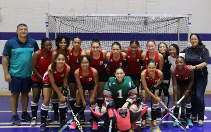 Hockey review 2019 (part 2) Youth Development still on the front burner