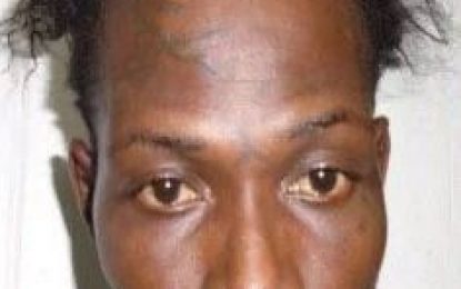 Police photographer testifies in Blue Martini murder trial