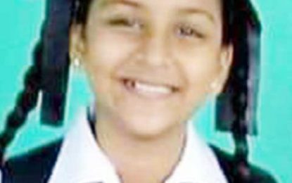 Deadly Nismes crash… Cops seek DPP’s advice on further charges for bus driver