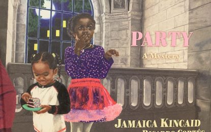 Book review… A narrative as puzzling as it is inviting