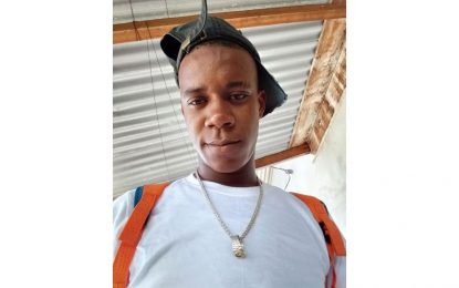 Teen dies after colliding with motorcar