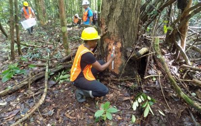 Guyana collects US$45M final payment from Norway