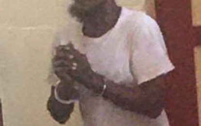 Junkie paid $300 to steal $435,000 motorbike – court hears