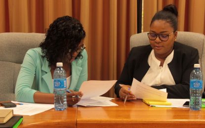 WTO helping Guyana build capacity to handle goods dumping