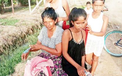 Widow who lost home to fire appeals for help to rebuild