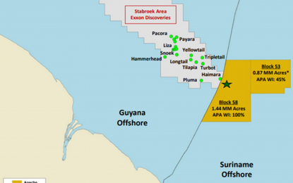 Suriname was told its gas content days after find