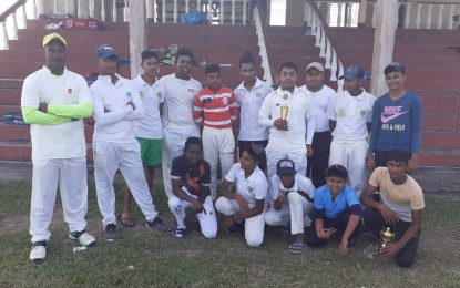 Ramnarine XI overcome Hansraj XI by 19 runs