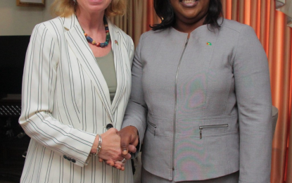 US Ambassador, Foreign Affairs discuss ongoing projects, elections