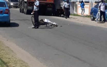 Pedal Cyclist crushed by lorry
