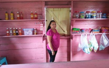 Nadeza Rodrigues runs thriving HEYS Business despite disability