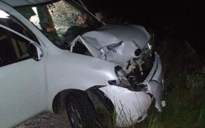 Unidentified woman killed in Linden Highway accident