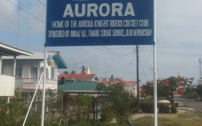 Aurora Knight Riders Cricket Club Erected Bill Board in Aurora