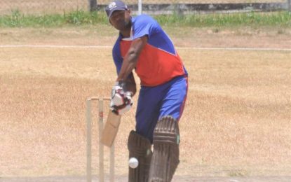 Zeelugt, Southside triumph