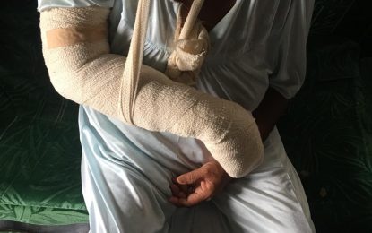 Man arrested after brutally beating mother