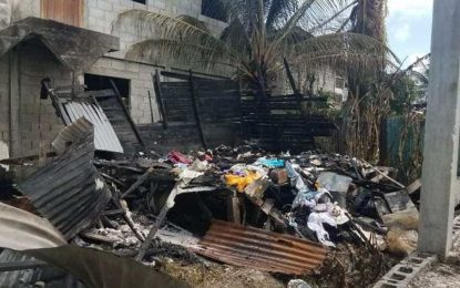 Children rescued from burning home