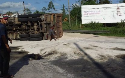 Truck topples, driver injured