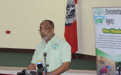 Penalties for infractions a slap on the wrist-EPA Head