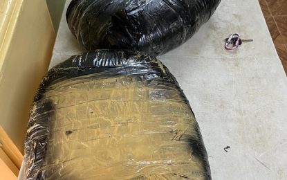 Ganja smuggled from Berbice found in Charlestown bush