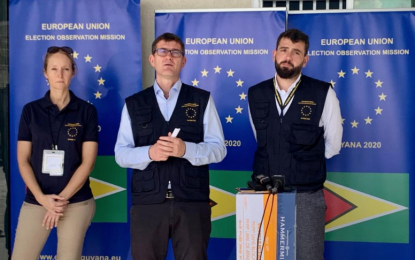 EU observers want to see SOPs that Mingo used to prepare spreadsheet