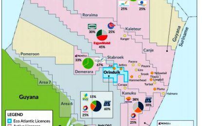 COVID-19 forces more offshore companies to slash exploration and production budgets