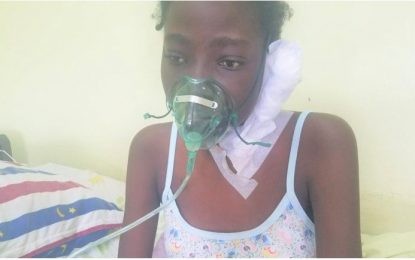 New kidney likely for Sophia teen