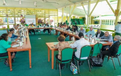 Ministerial task force established to address COVID-19