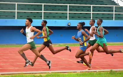 AAG suspends all activities