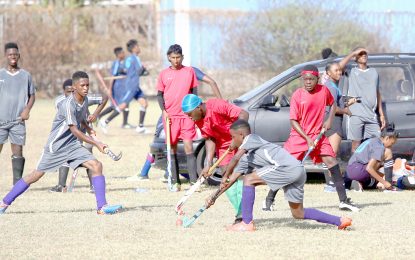 Hockey training continues despite COVID-19 pandemic