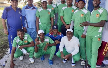 Wellman Masters claim Mike’s Pharmacy softball title