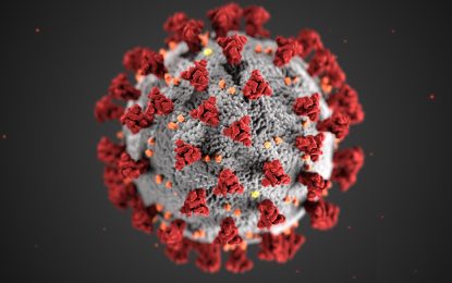 Guyana’s coronavirus toll jumps to four