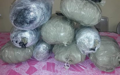 Suspected drug dealers nabbed in hire car at Berbice Bridge charged