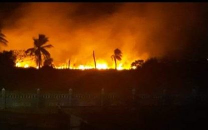 Fire in the vicinity of Region 5 Model farm