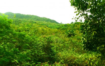 Forests and biodiversity are too precious to lose – Regional Forestry Officer