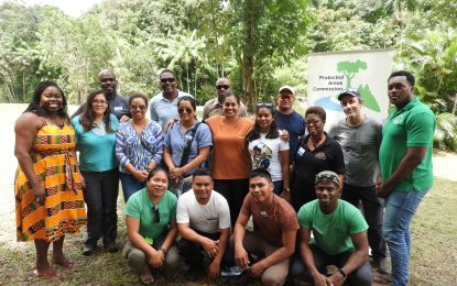 THREE GUIANAS FOCUSING ON GOLDMINING IN PROTECTED AREAS