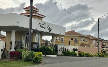 Windsor Estates developer postpones Ogle project amid uncertainty