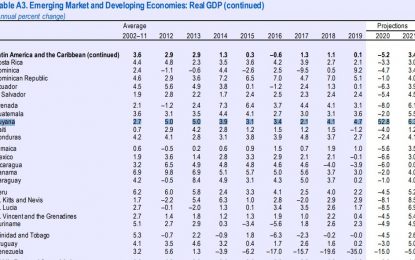 COVID-19 and the Economic Outlook… IMF projects 52.8% growth for Guyana in 2020