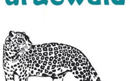 Guyana’s oil will make it one of the biggest greenhouse gas emitters of all time – German NGO